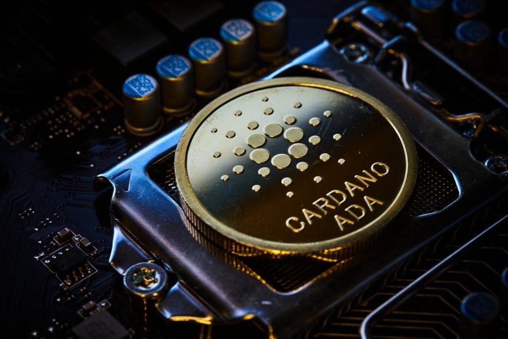 Photo cardano