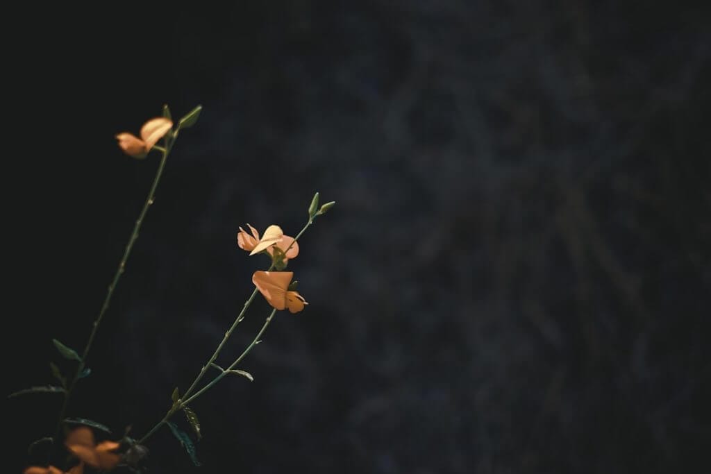 Photo sven liebich