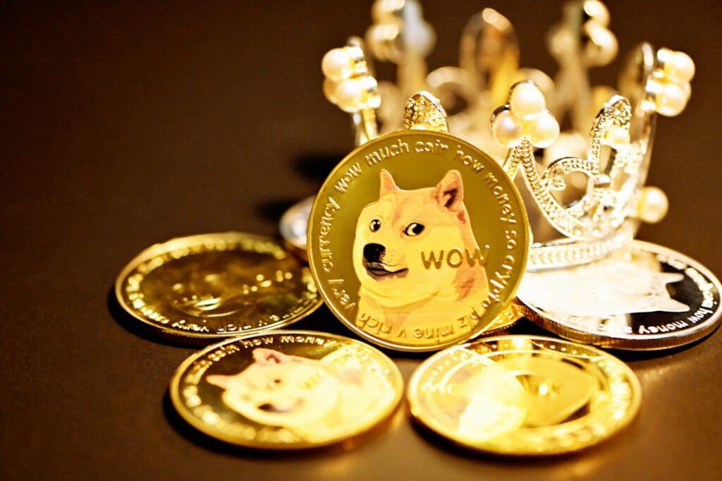 Photo doge